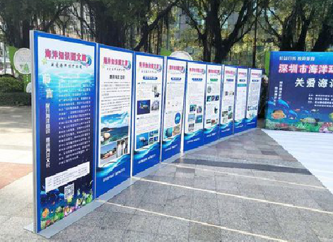 福贡KT板的种类和知识。